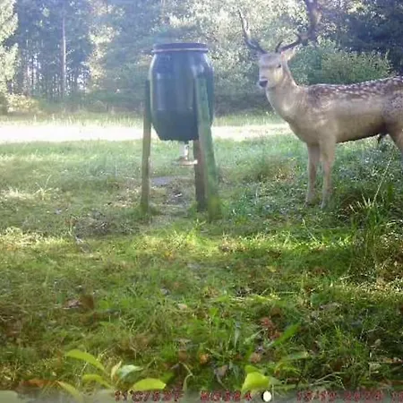 別荘 Aneks I Rolige Omgivelser-adgang Til Pool Og Sauna
