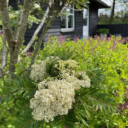 Aneks I Rolige Omgivelser-adgang Til Pool Og Sauna * Avlum