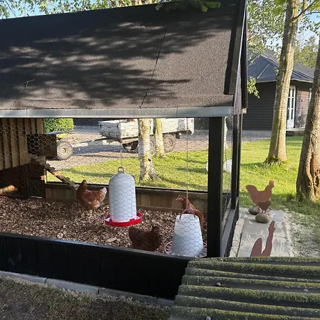 Aneks I Rolige Omgivelser-adgang Til Pool Og Sauna *